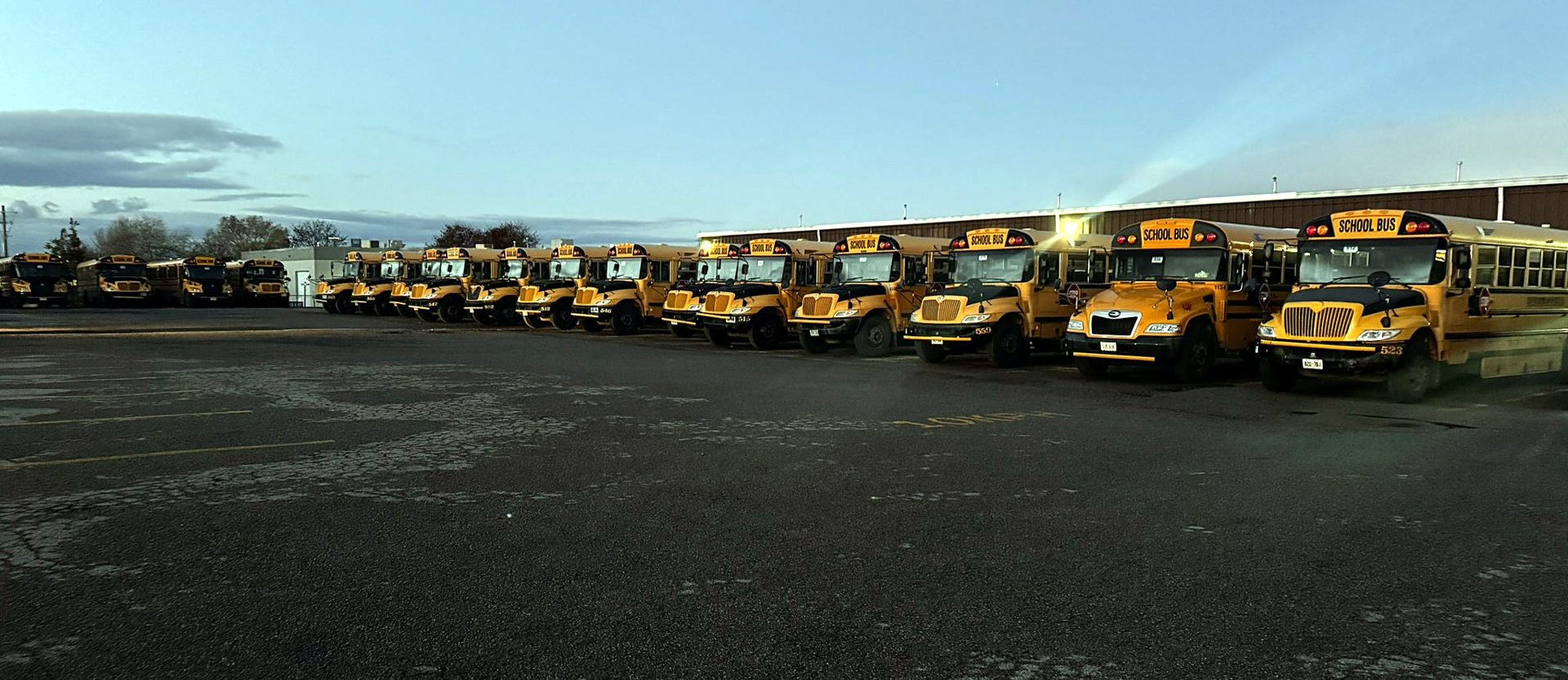 School bus fleet lined up at dusk