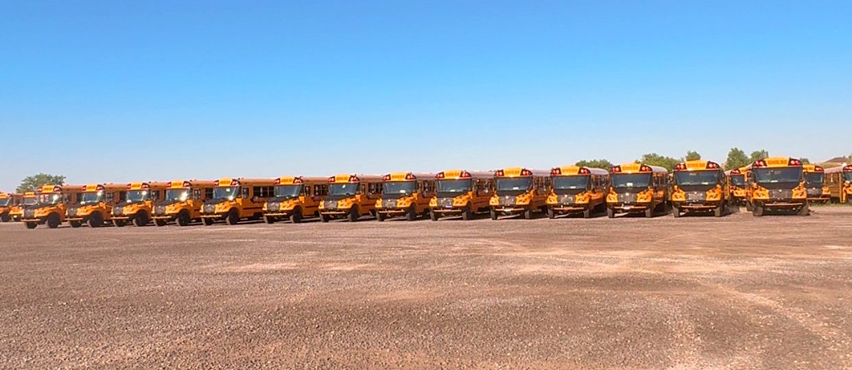 Rows of school buses across a large lot