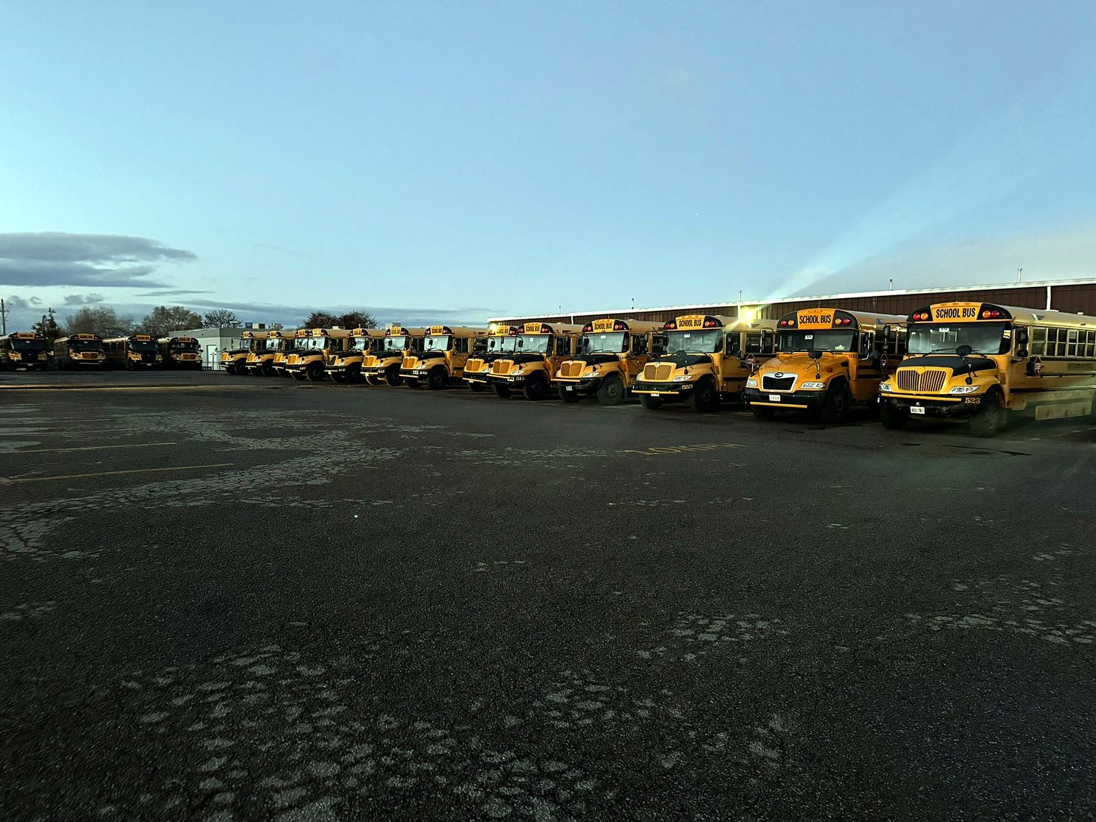 Long row of school buses at dusk